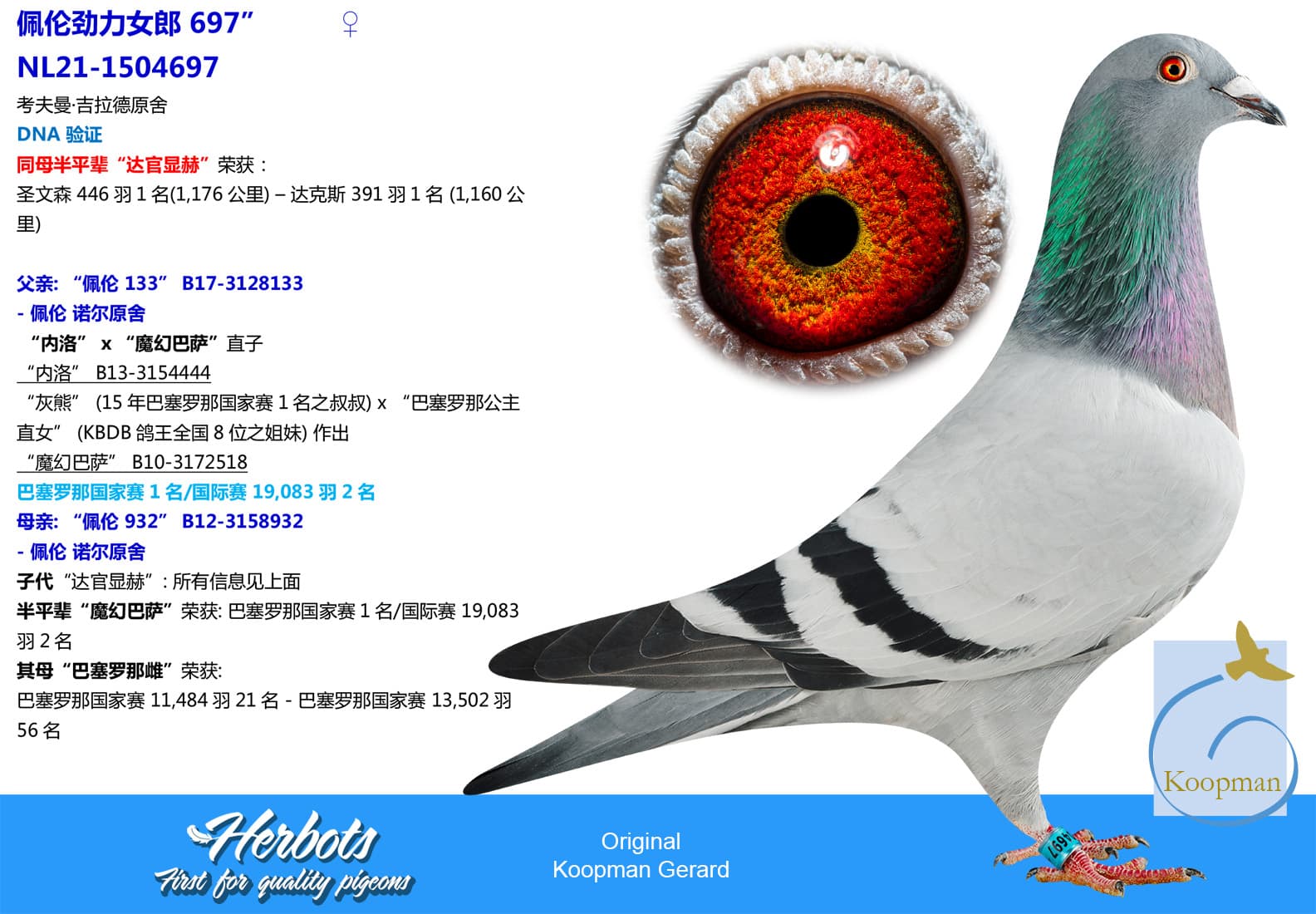 pigeon: undefined
