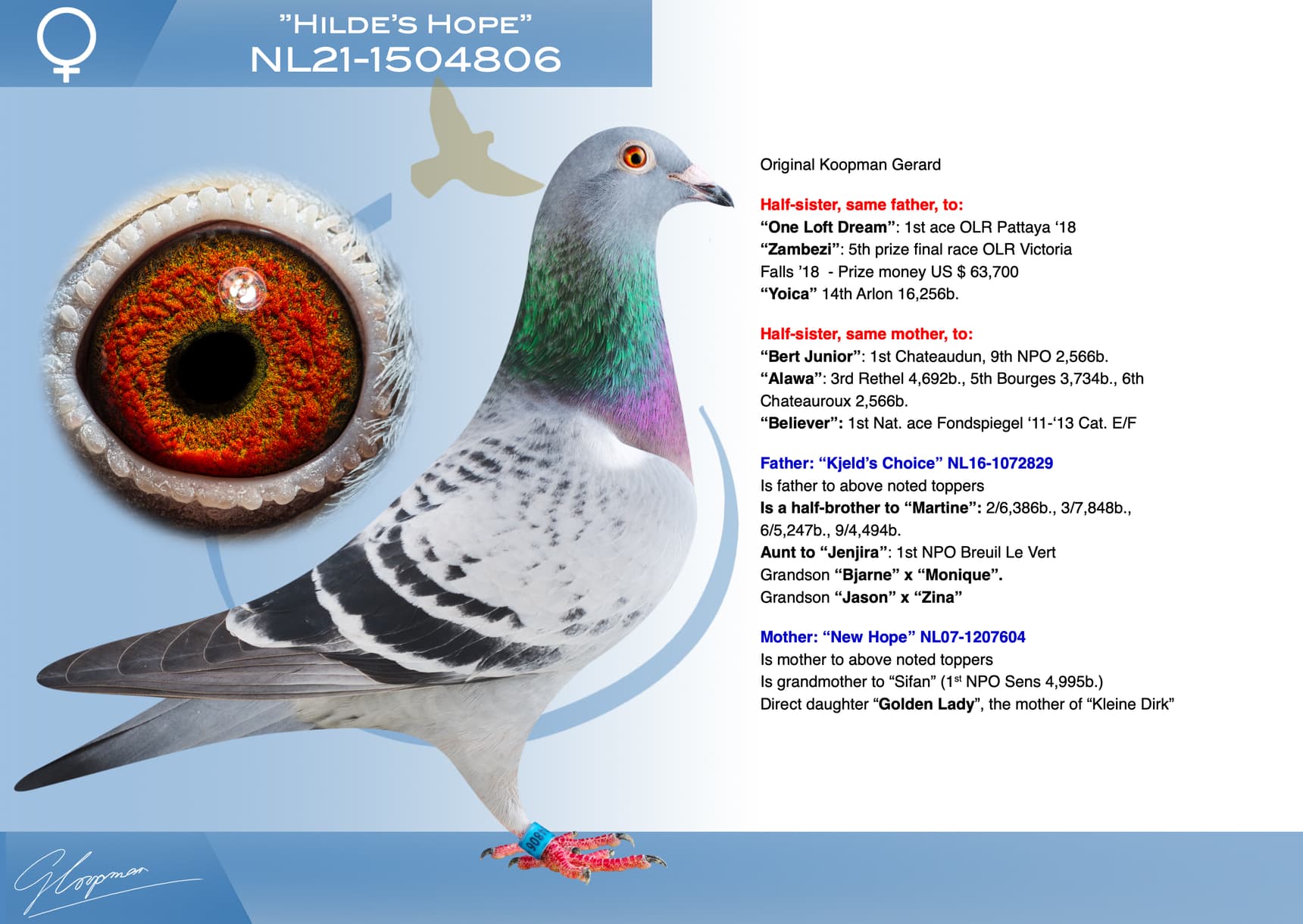 pigeon: undefined
