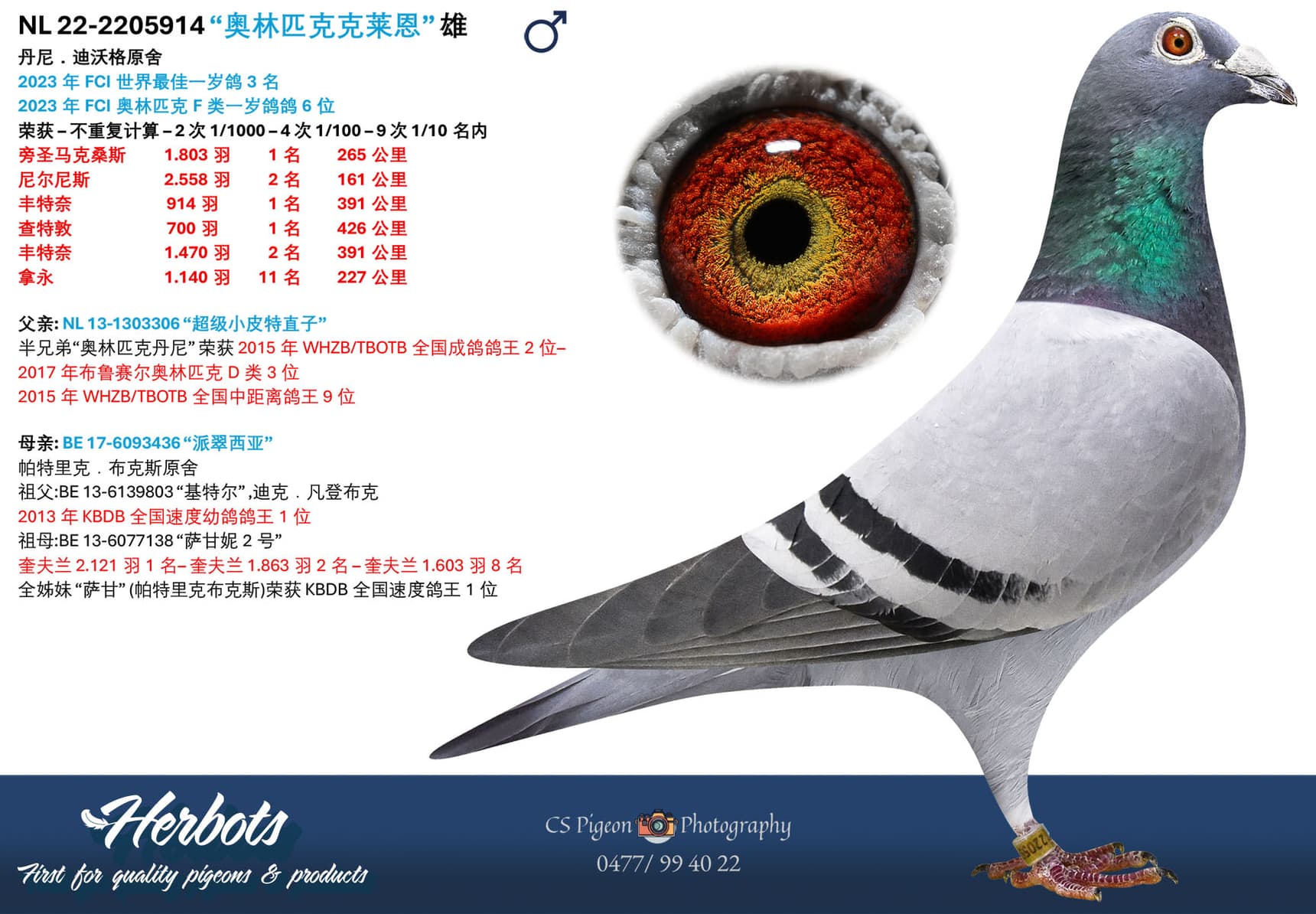pigeon: undefined
