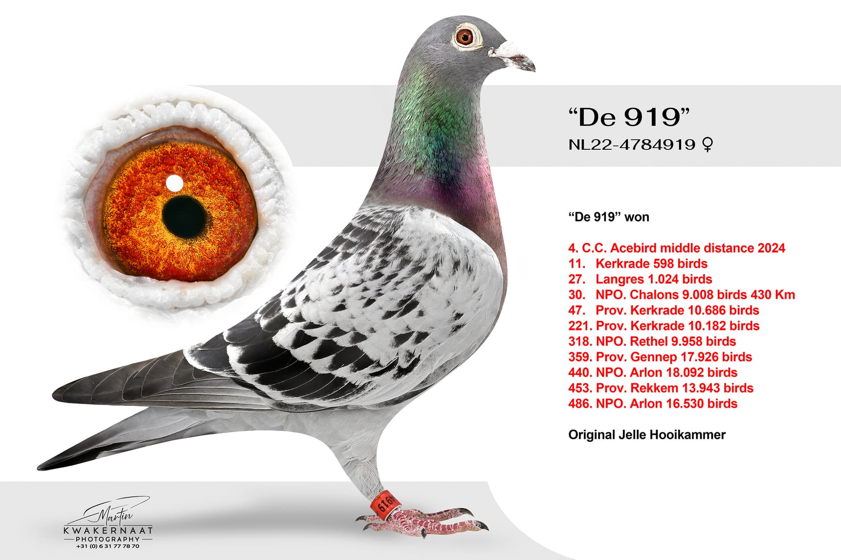 ‘De 919’