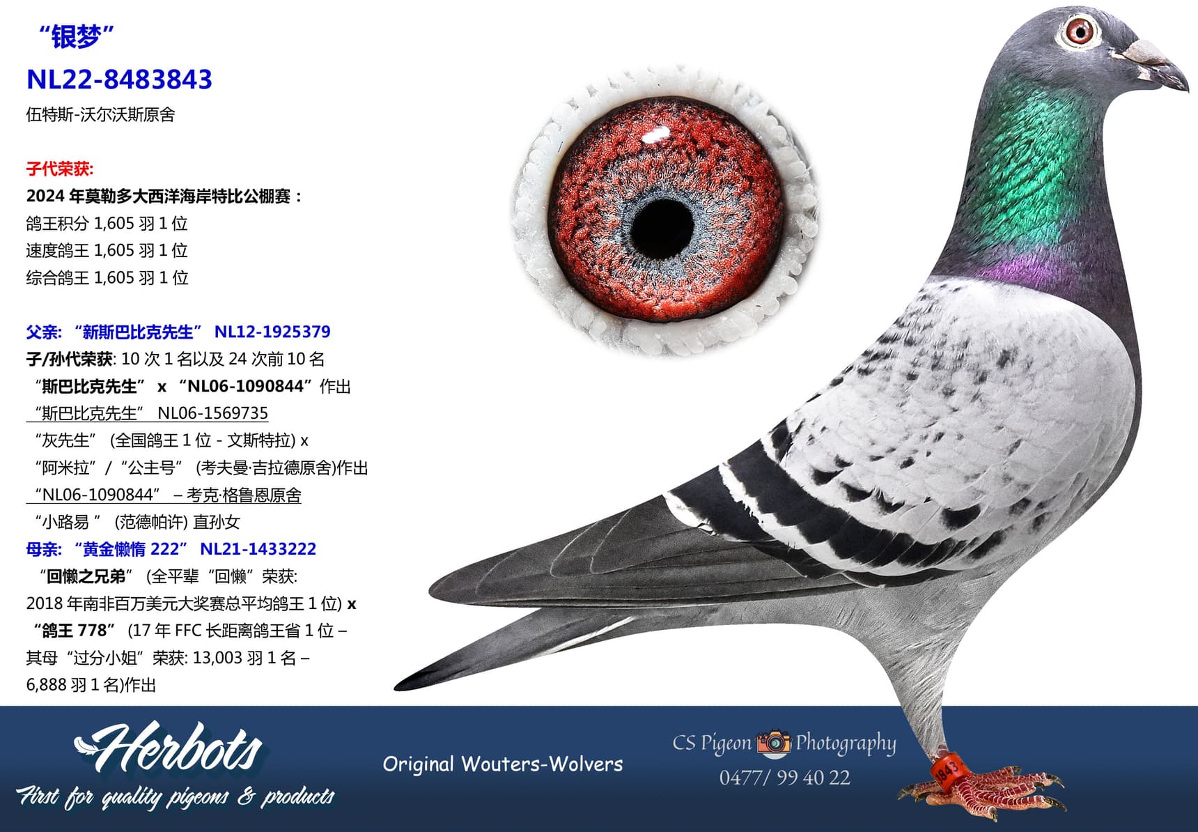 pigeon: undefined