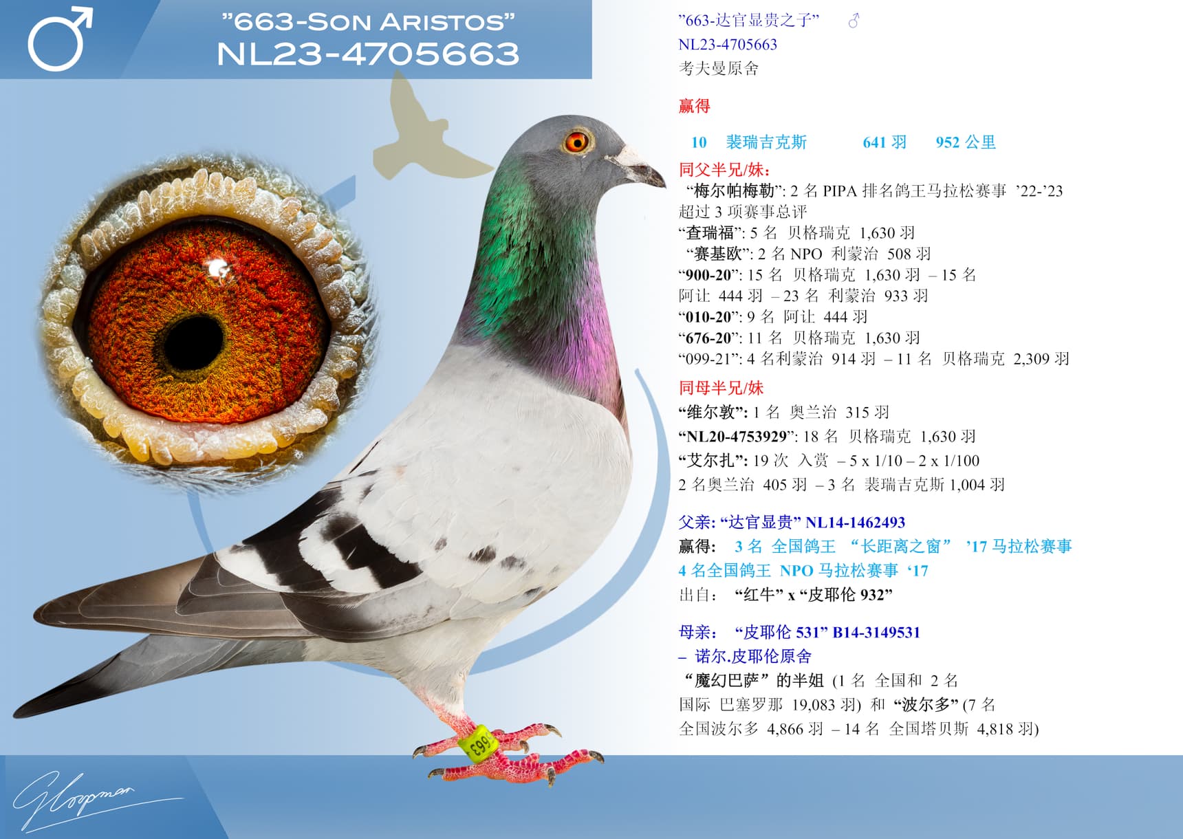 pigeon: ”663-达官显贵之子”