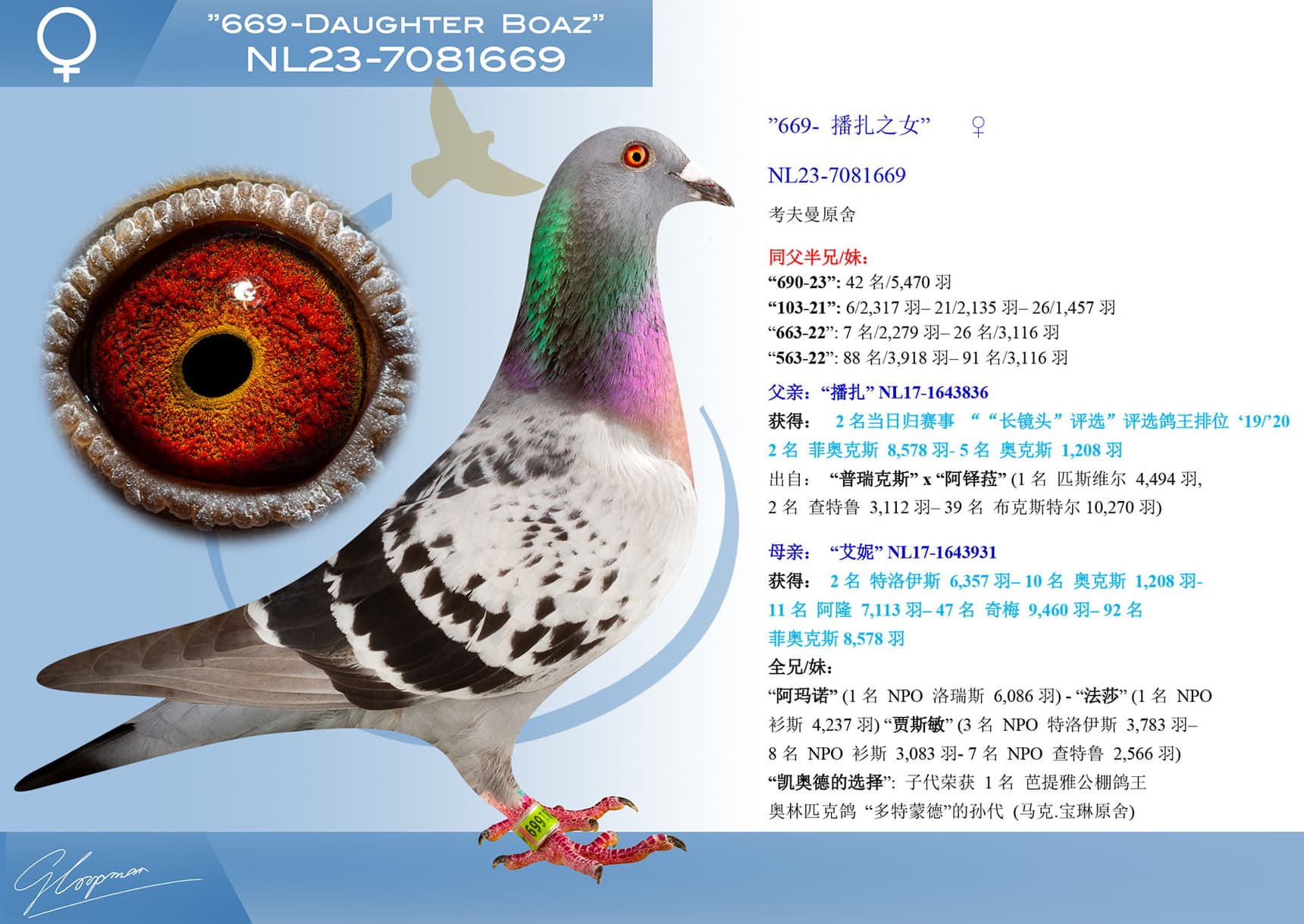 pigeon: ”669- 播扎之女”