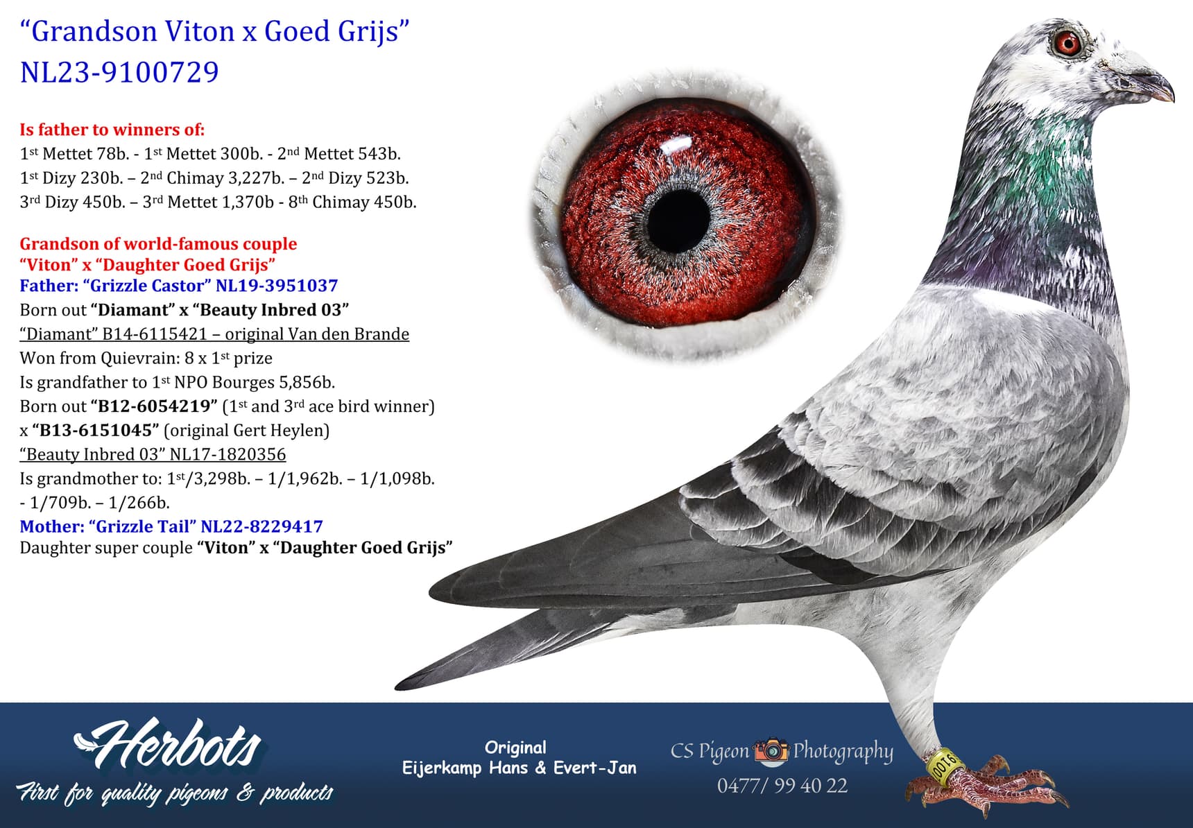 pigeon: undefined