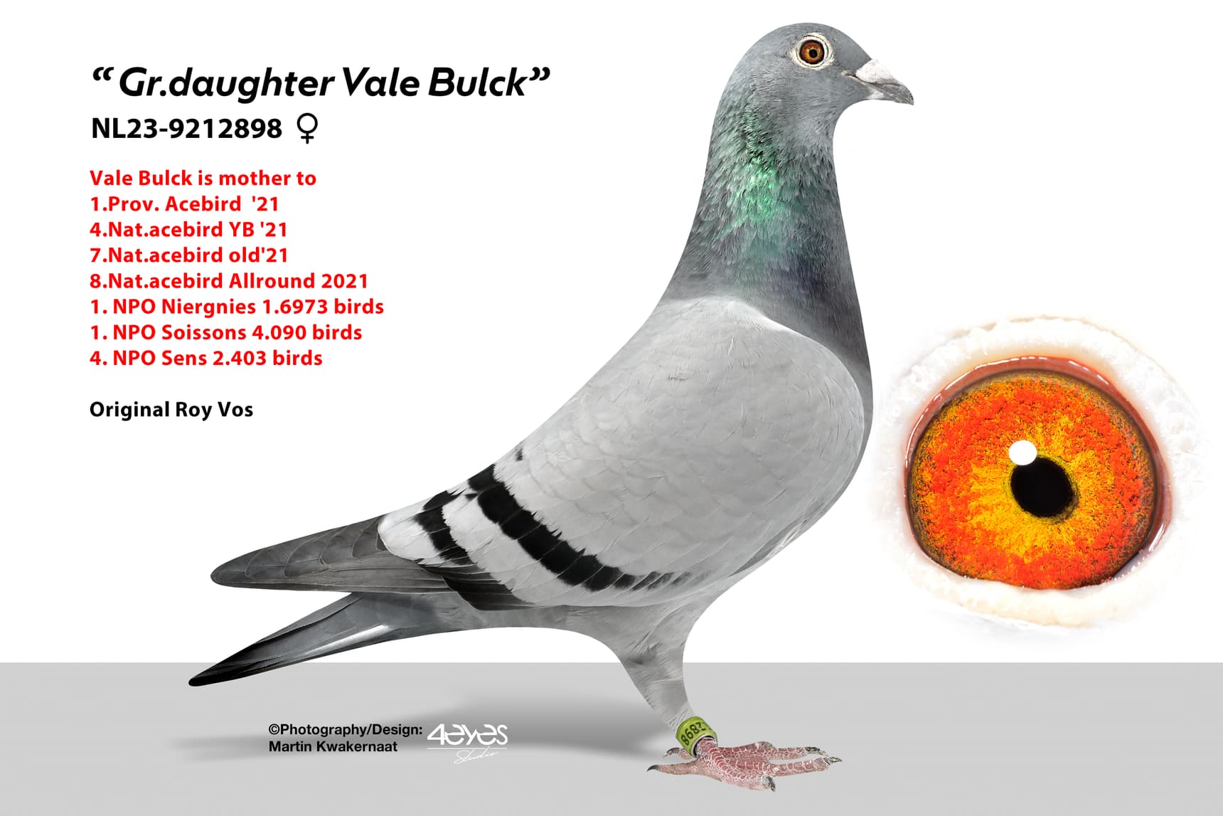 ‘Gr.daughter Vale Bulck’