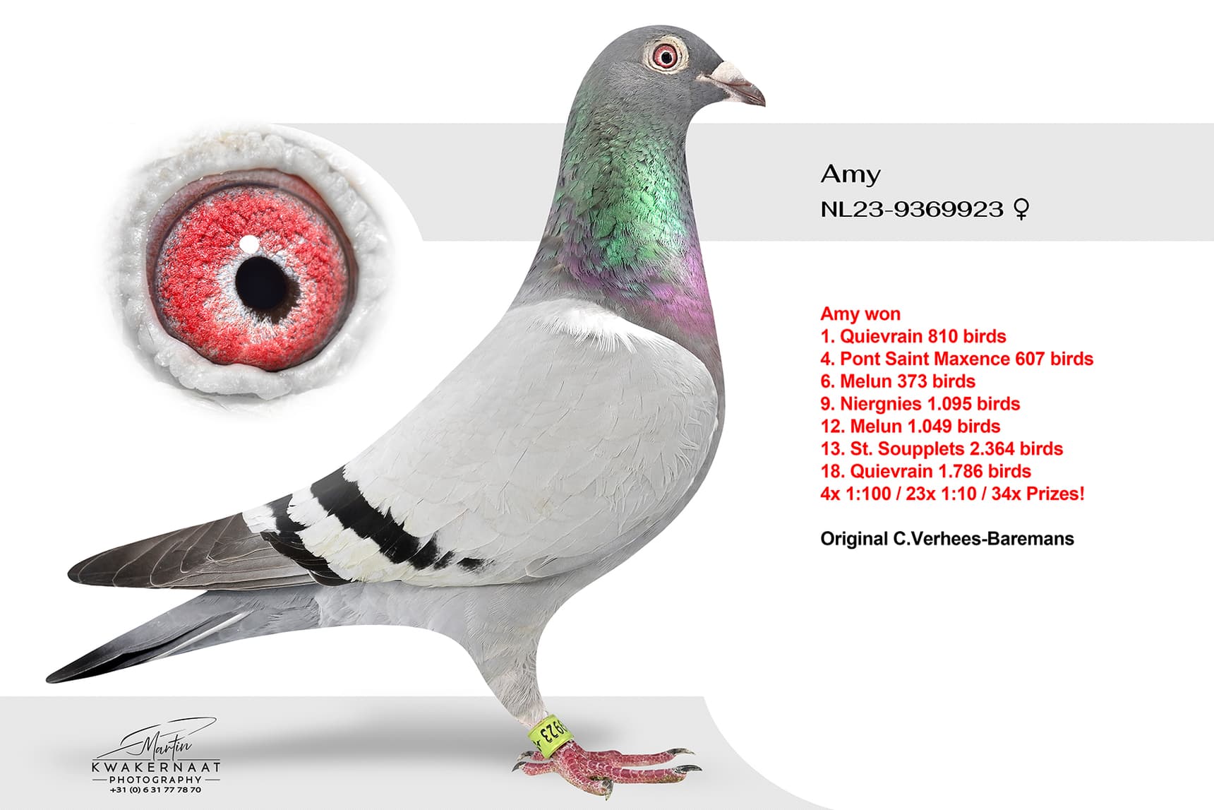 "Amy"