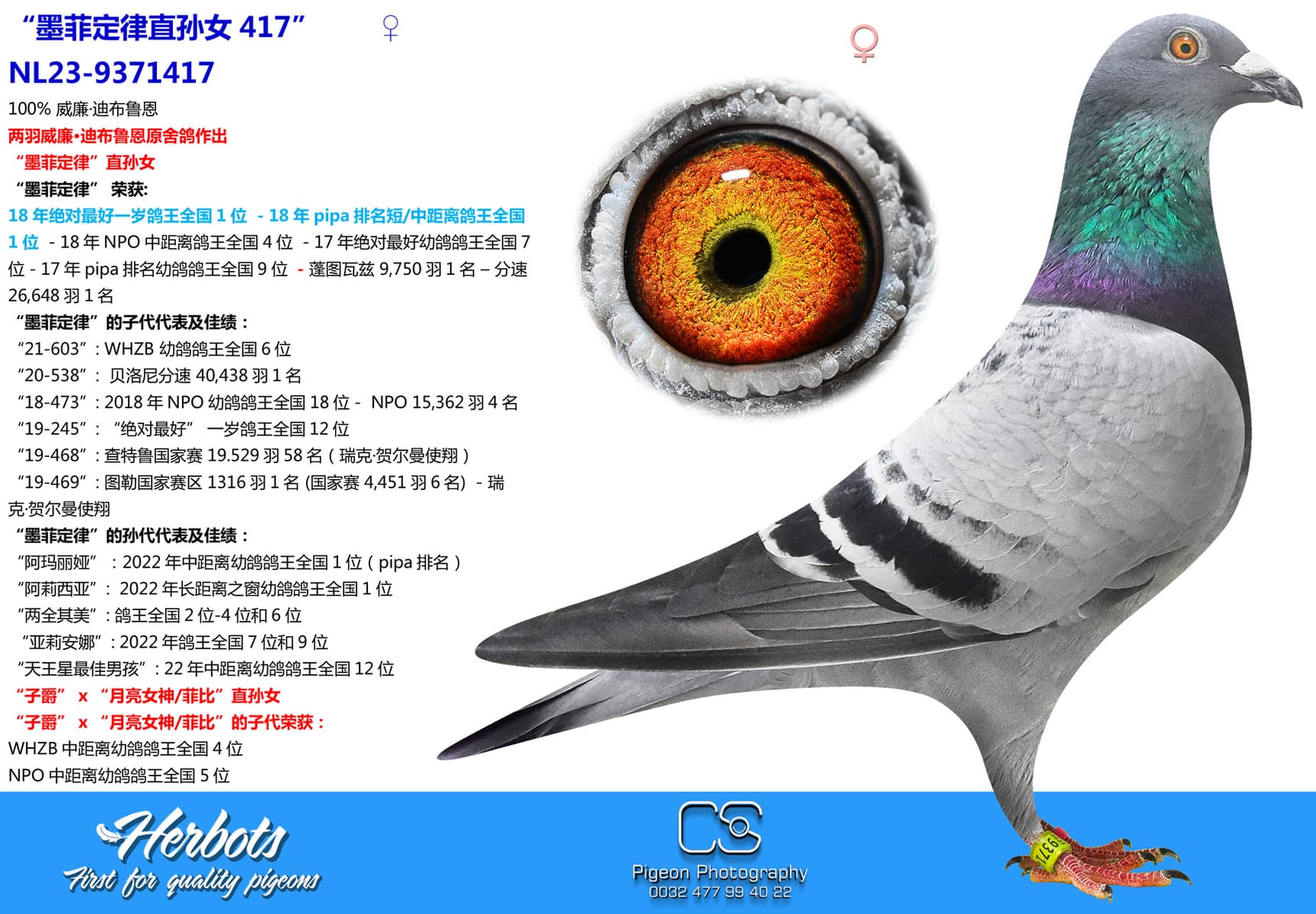 pigeon: “墨菲定律直孙女417”