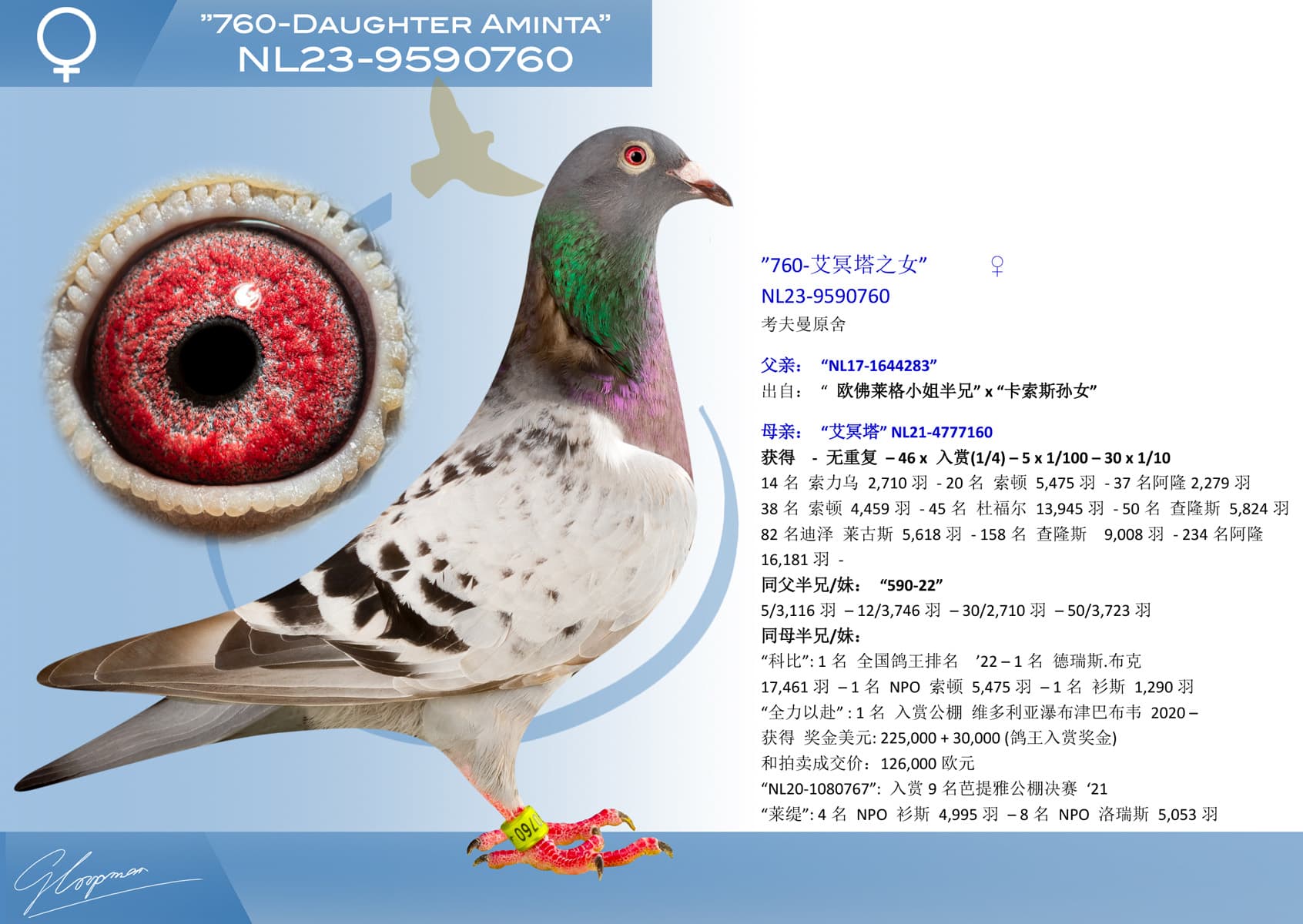 pigeon: ”760-艾冥塔之女”