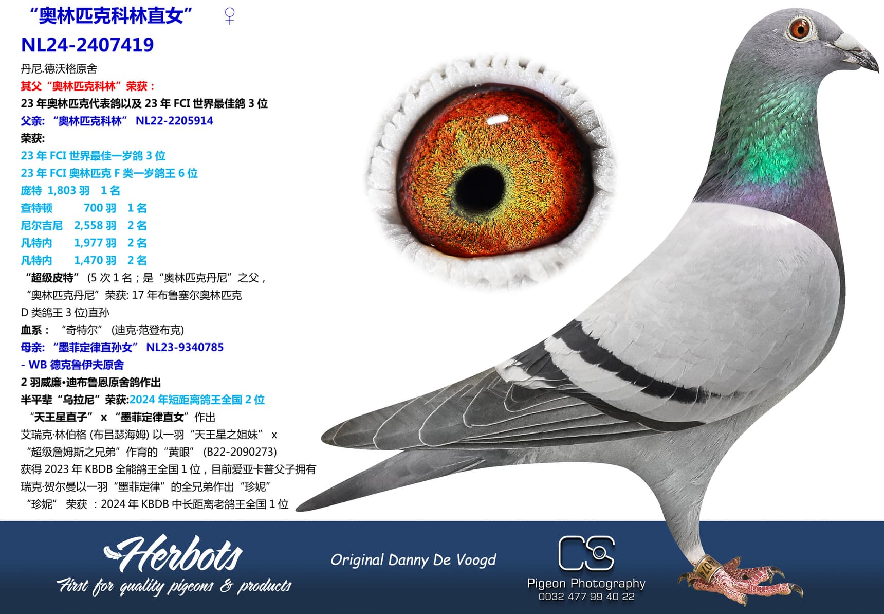 pigeon: “奥林匹克科林直女”