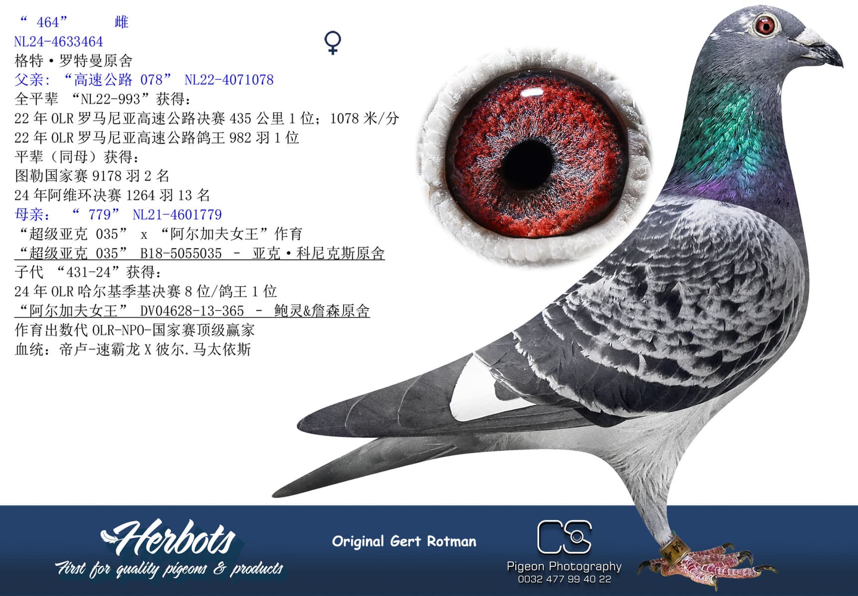 pigeon: undefined