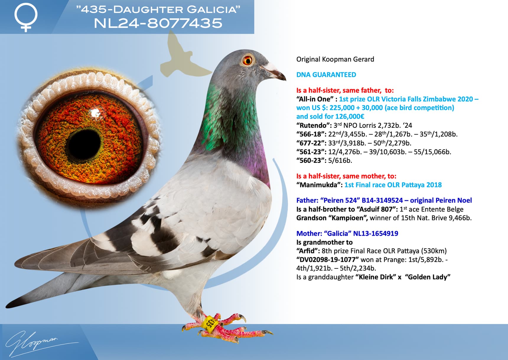 pigeon: undefined