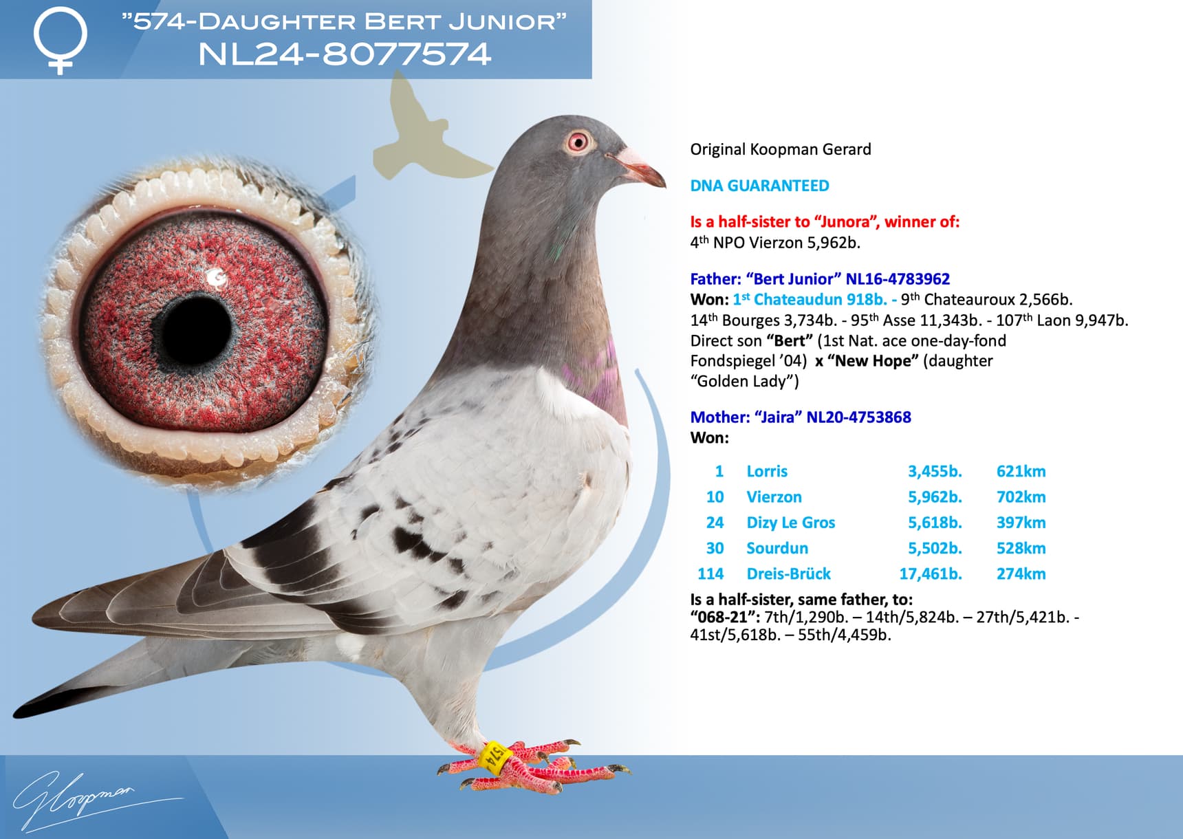 pigeon: undefined