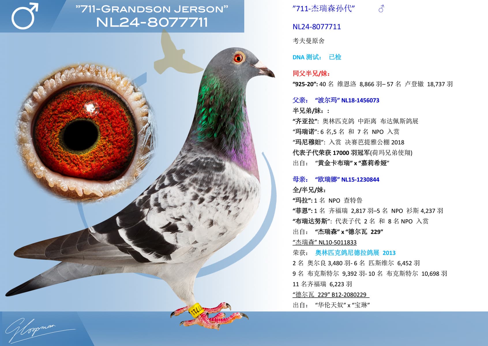 pigeon: undefined
