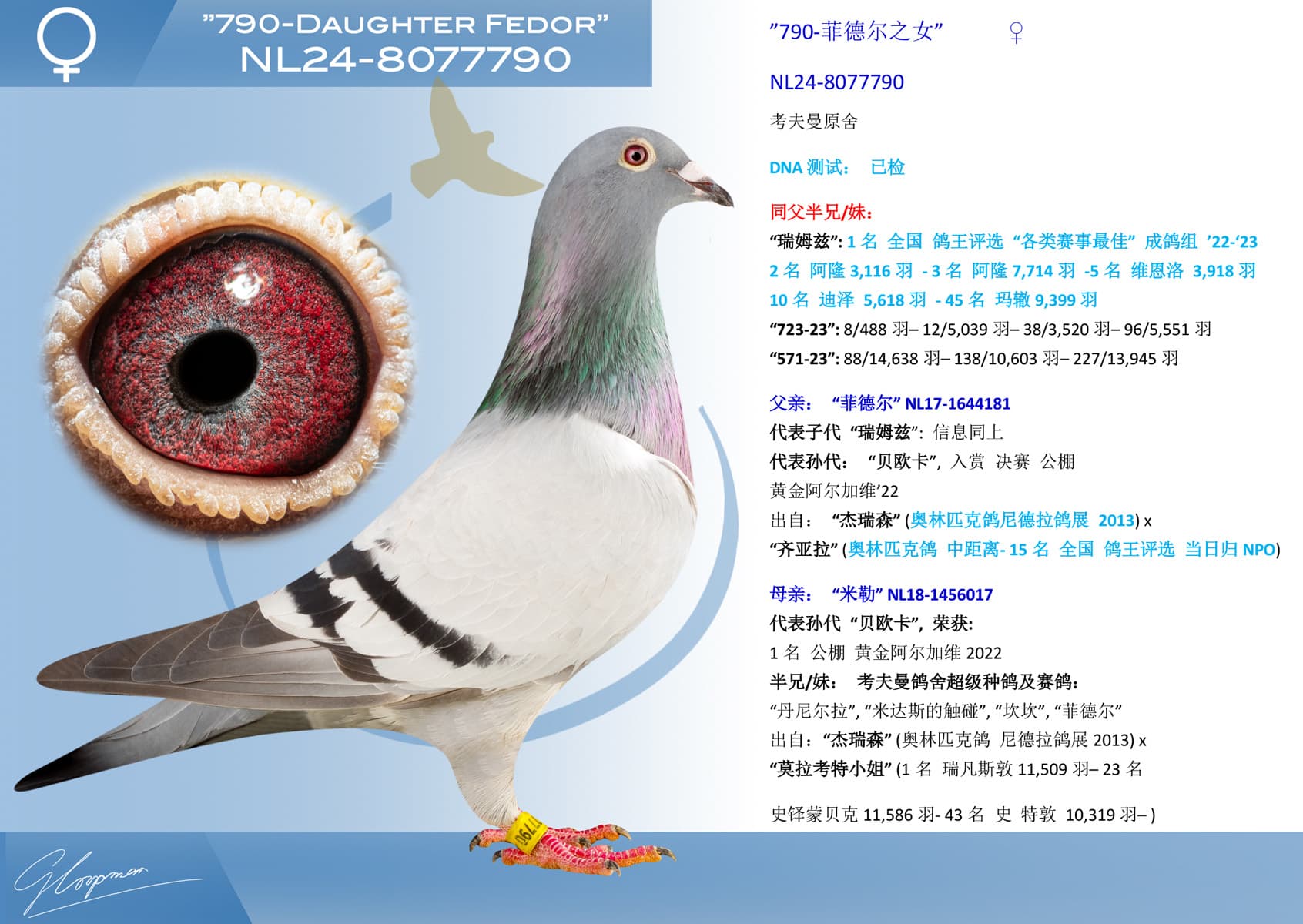 pigeon: undefined
