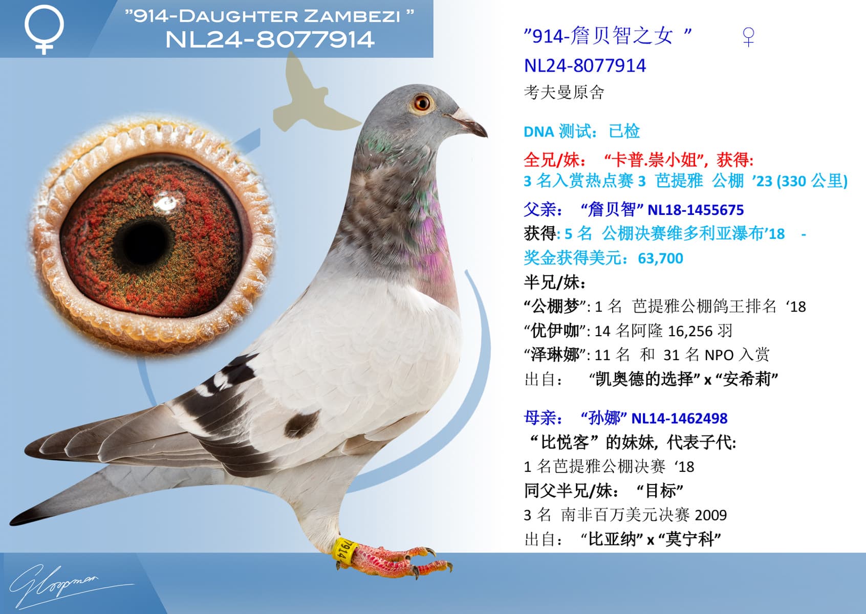 pigeon: undefined