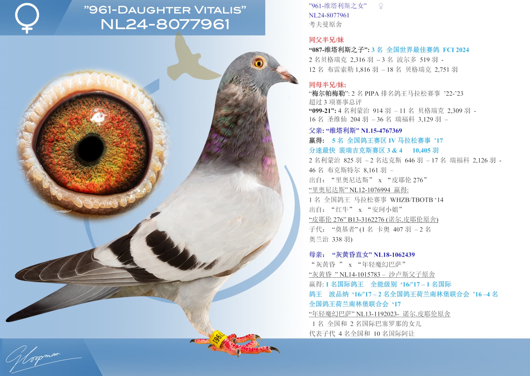 pigeon: ”961-维塔利斯之女”