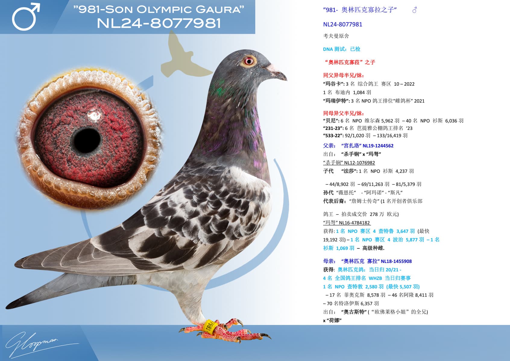 pigeon: undefined