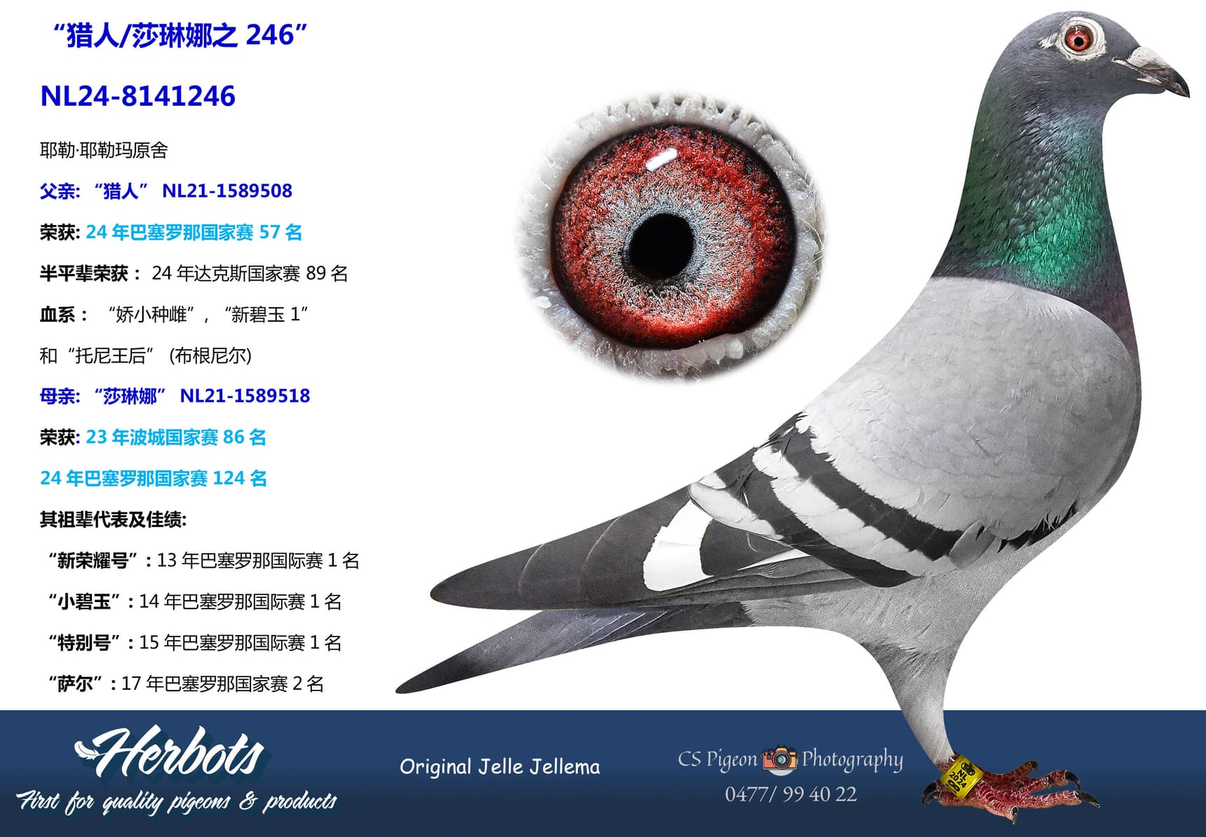 pigeon: undefined