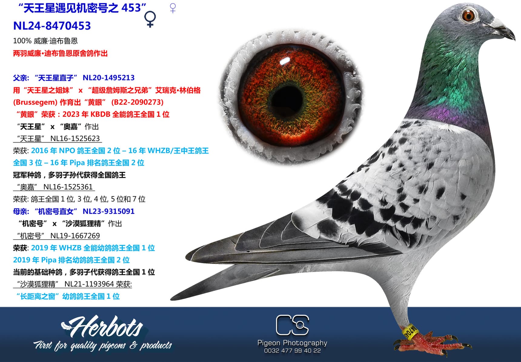 pigeon: “天王星遇见机密号之453”