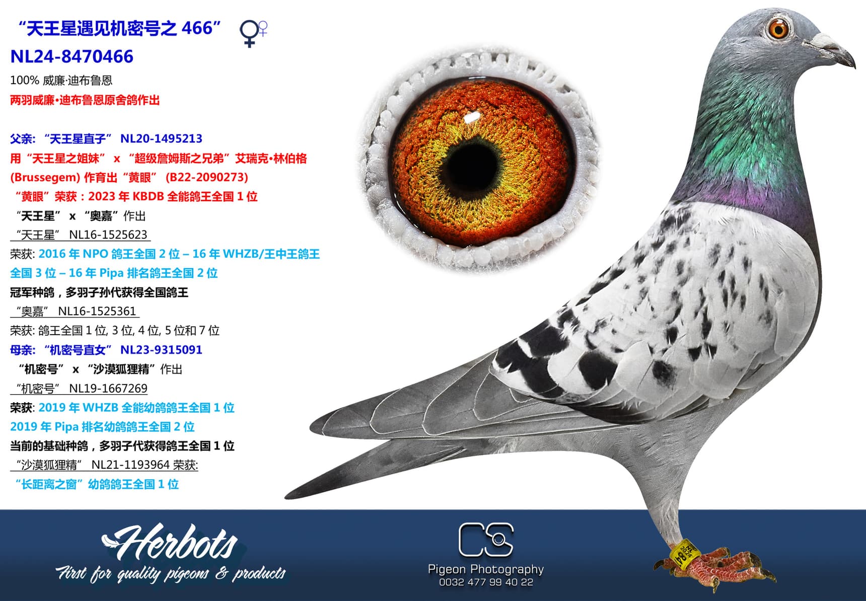 pigeon: “天王星遇见机密号之466”