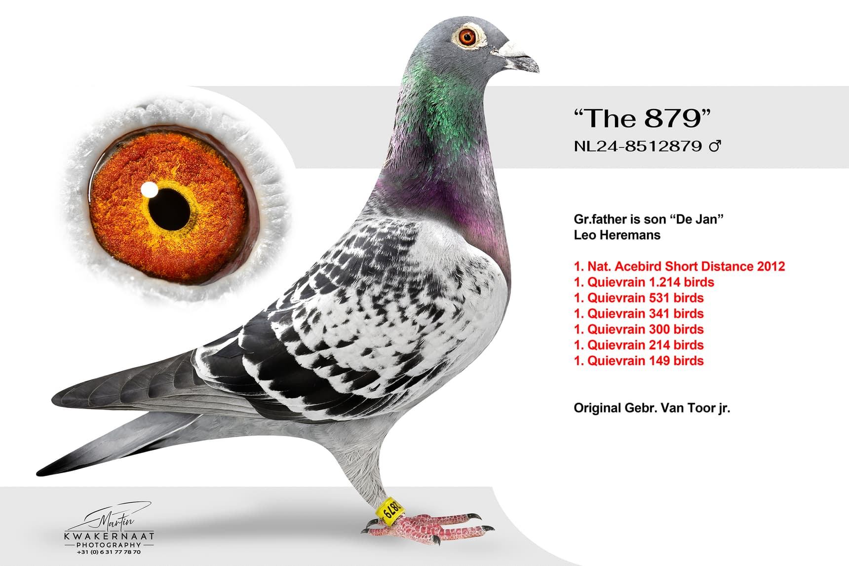 ‘The 879’