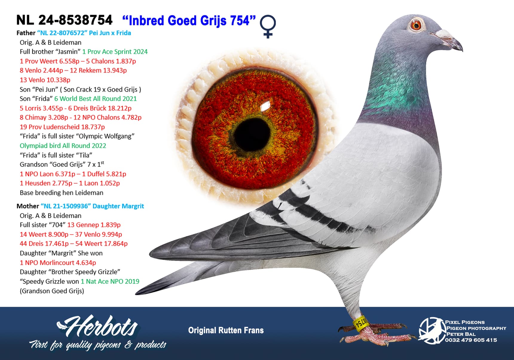 ‘Inbred Goed Grijs 754’