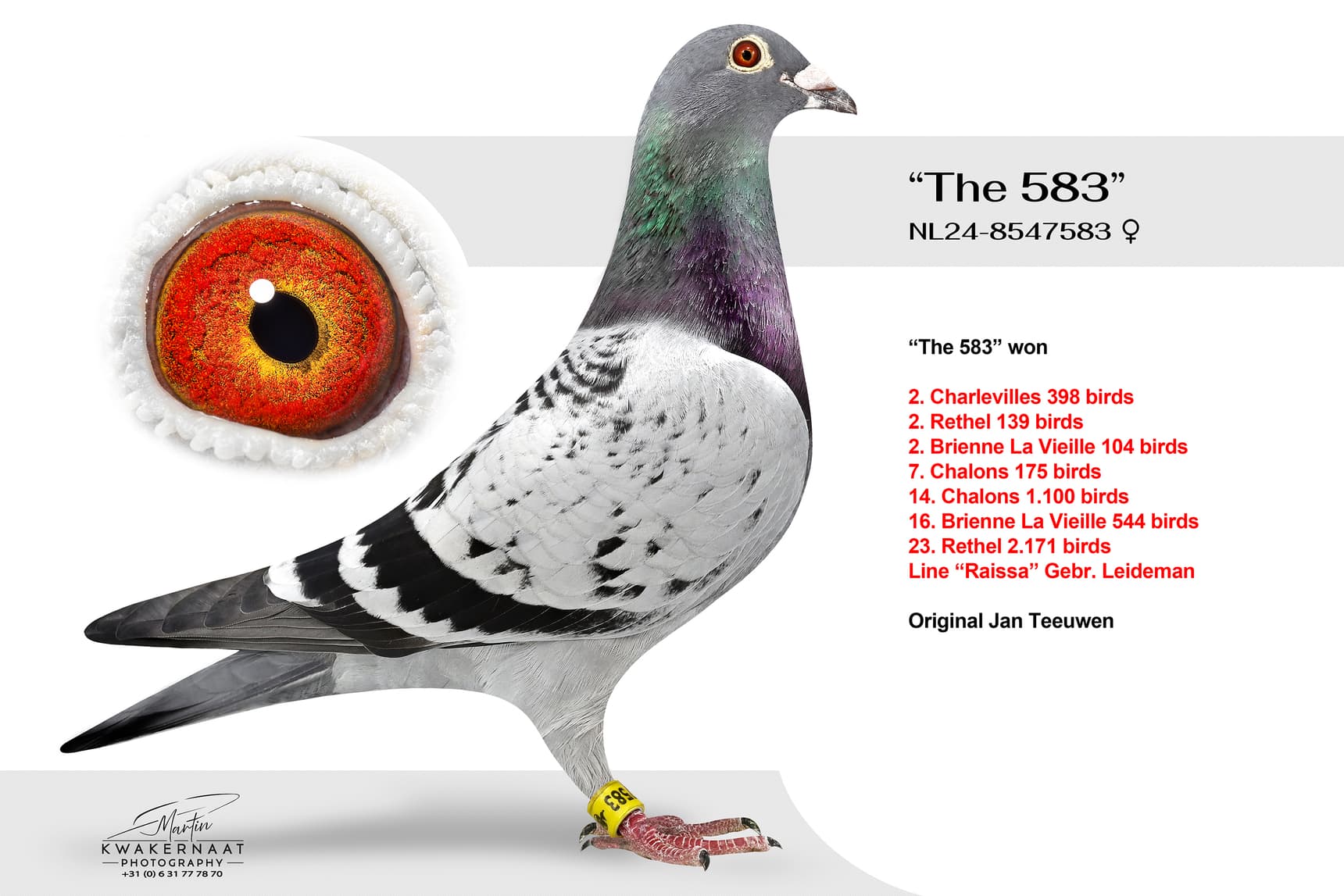 ‘The 583’