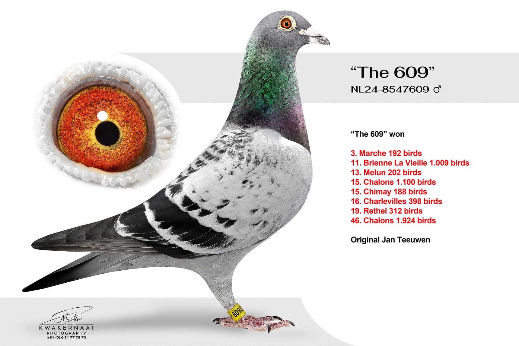 ‘The 609’