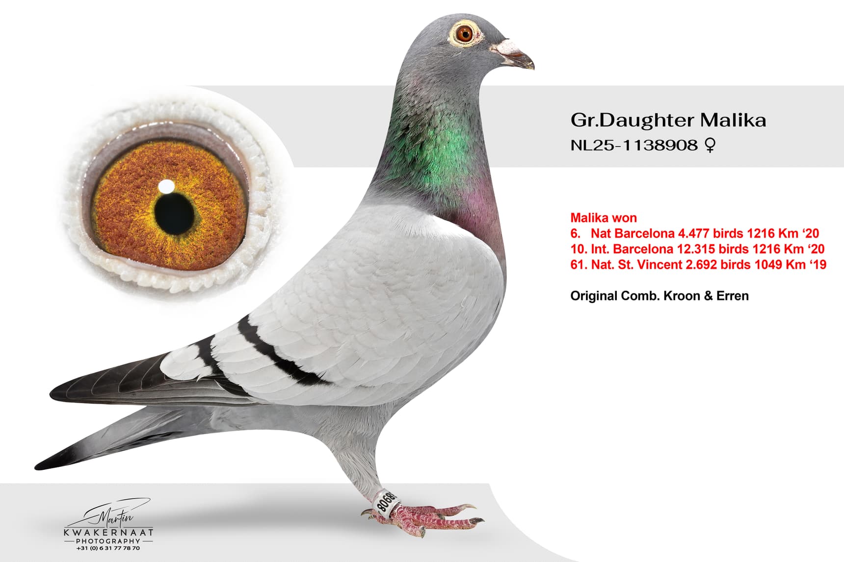 ‘Gr.Daughter Malika’