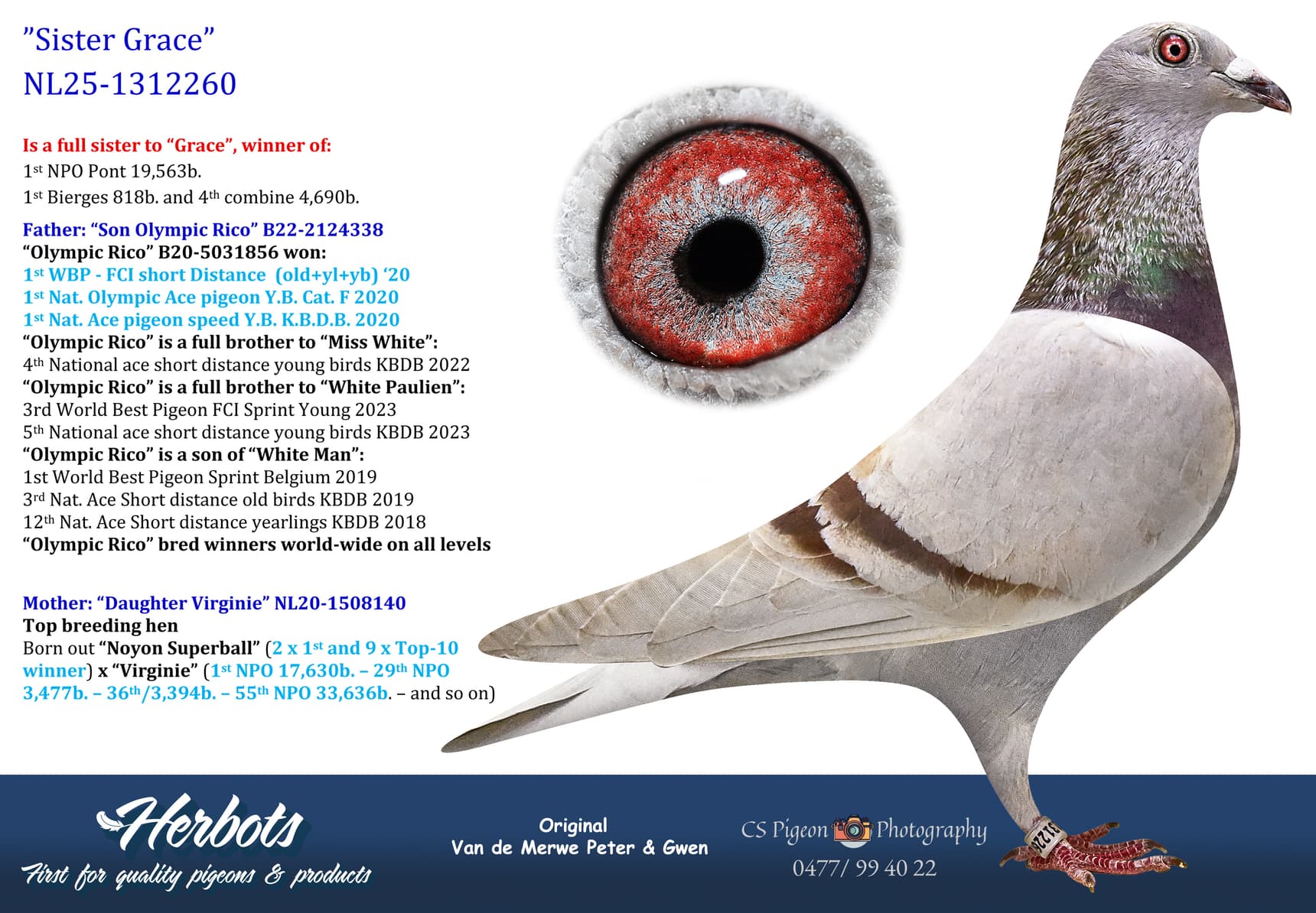 pigeon: undefined
