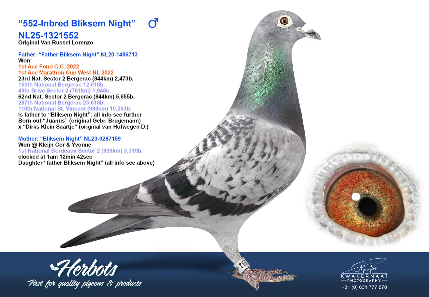 pigeon: undefined