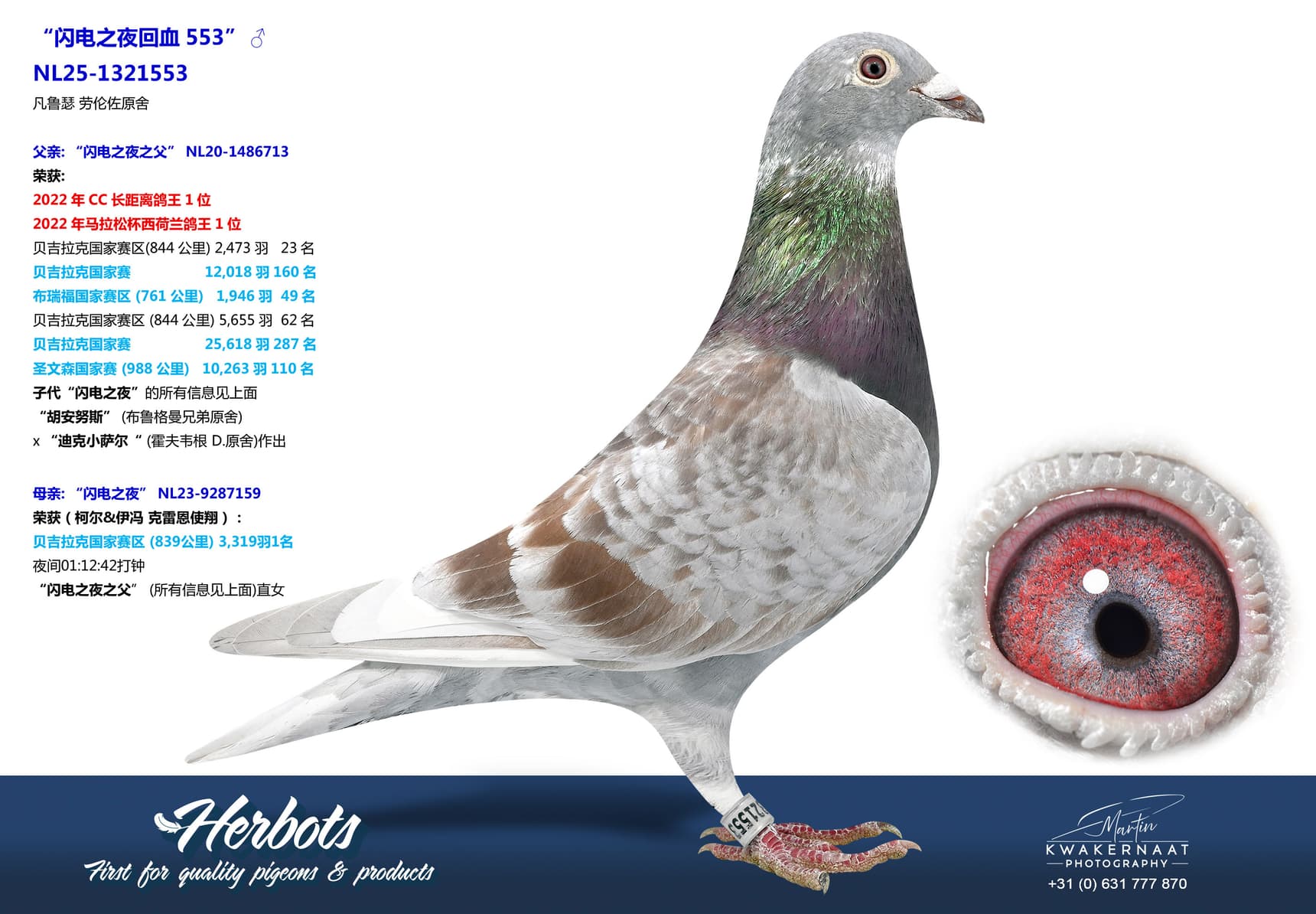pigeon: undefined