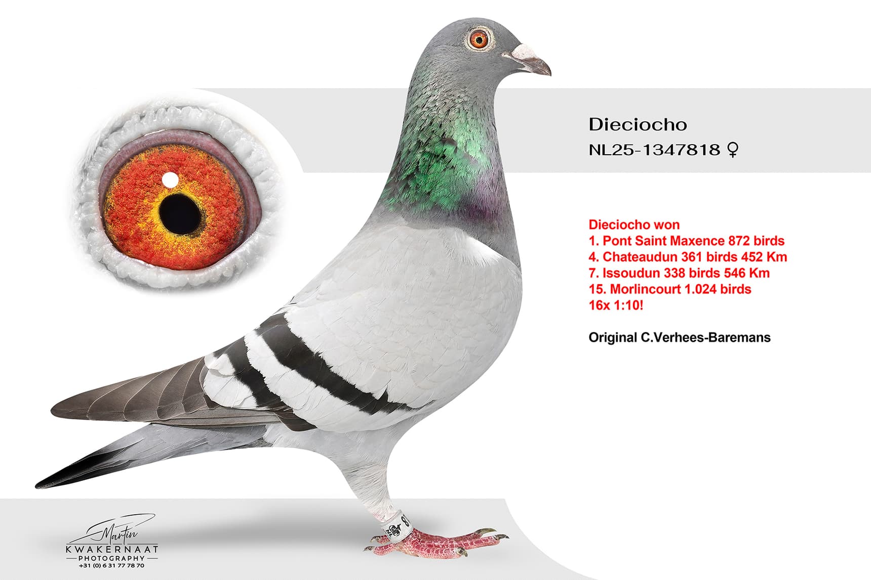"Dieciocho"