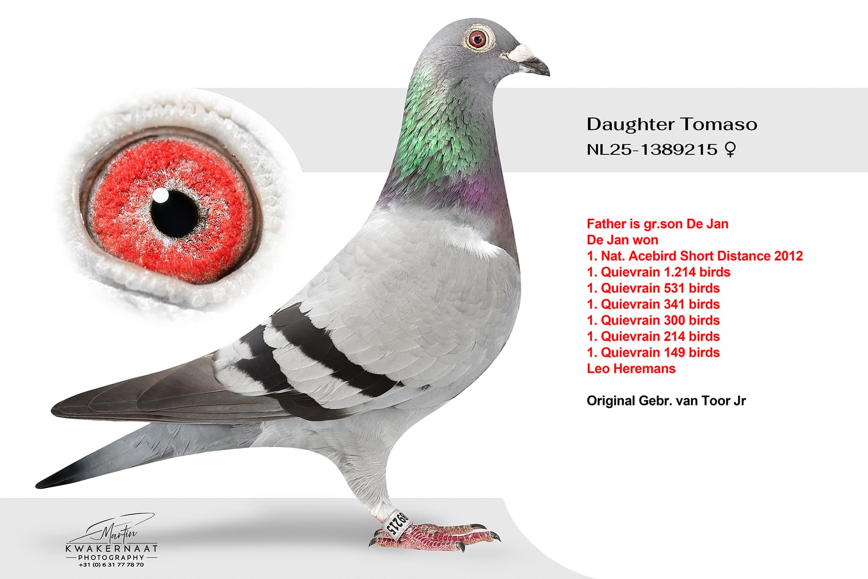 Daughter Tomaso