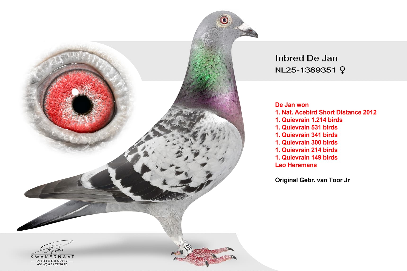‘Inbred De Jan’