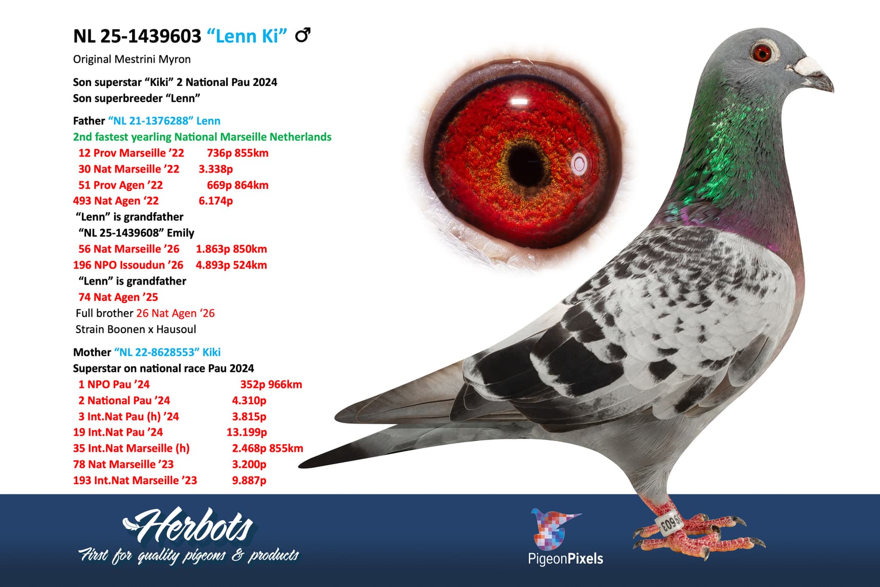 pigeon: undefined