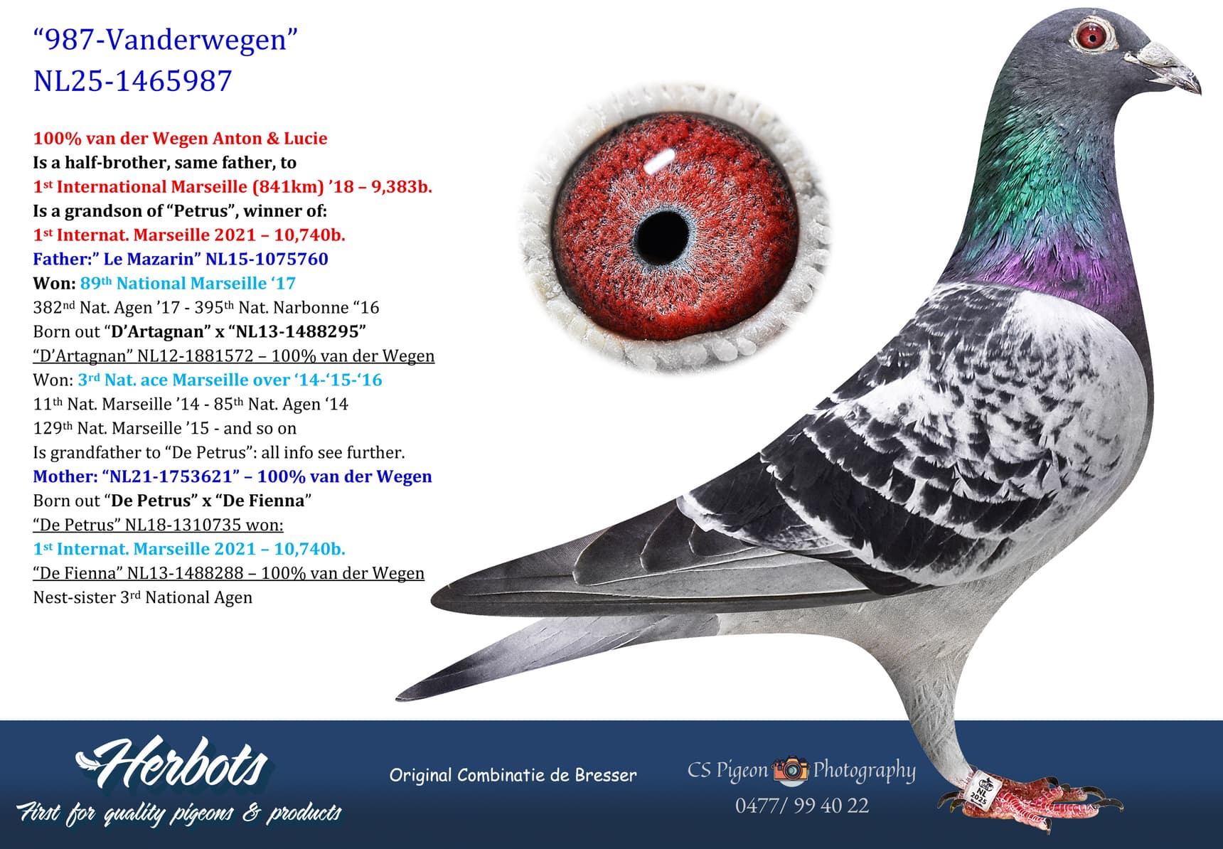 pigeon: undefined
