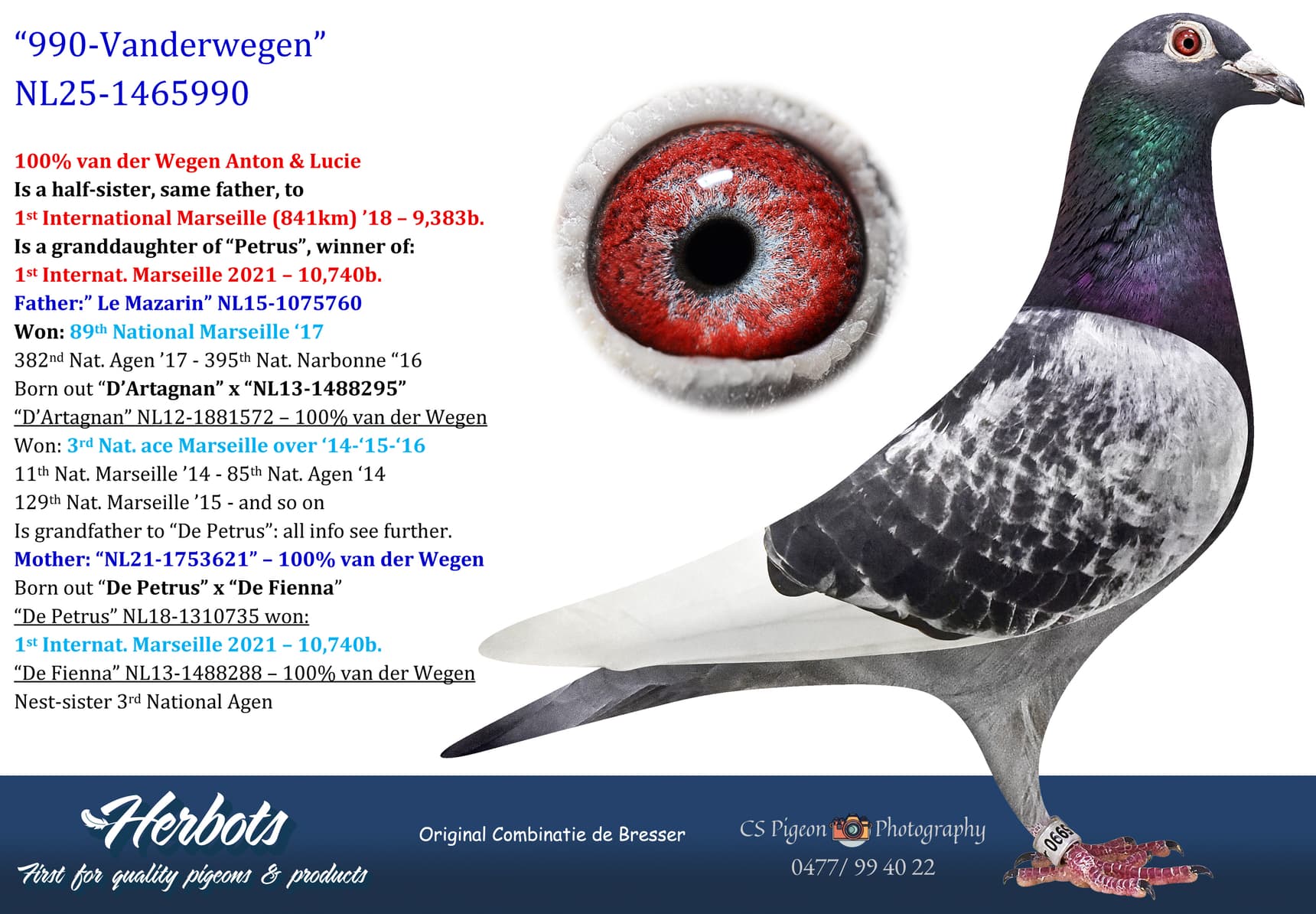 pigeon: undefined