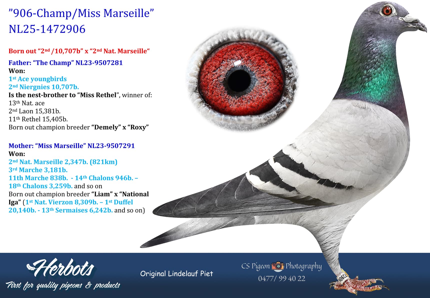 pigeon: undefined
