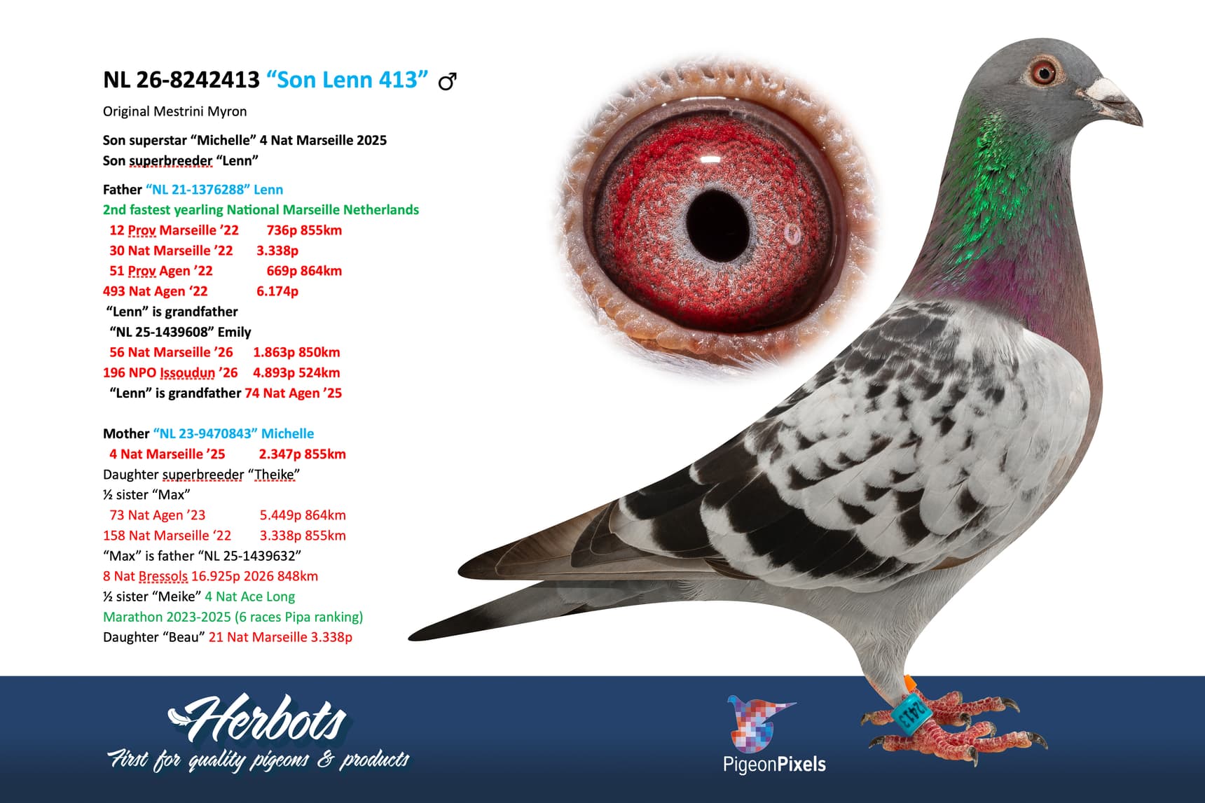 pigeon: undefined