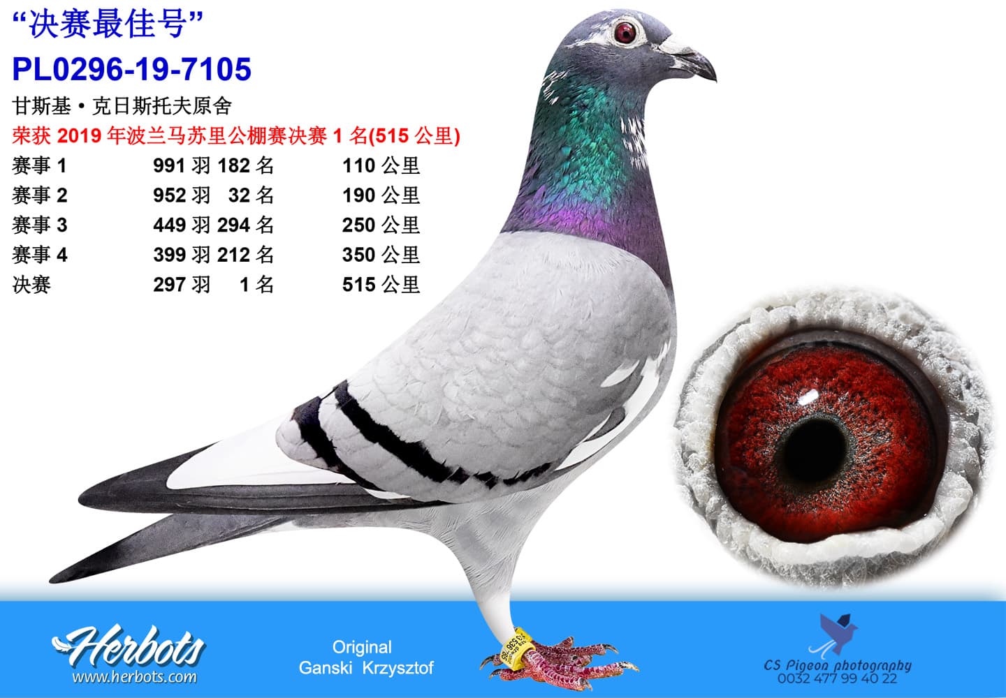 pigeon: undefined