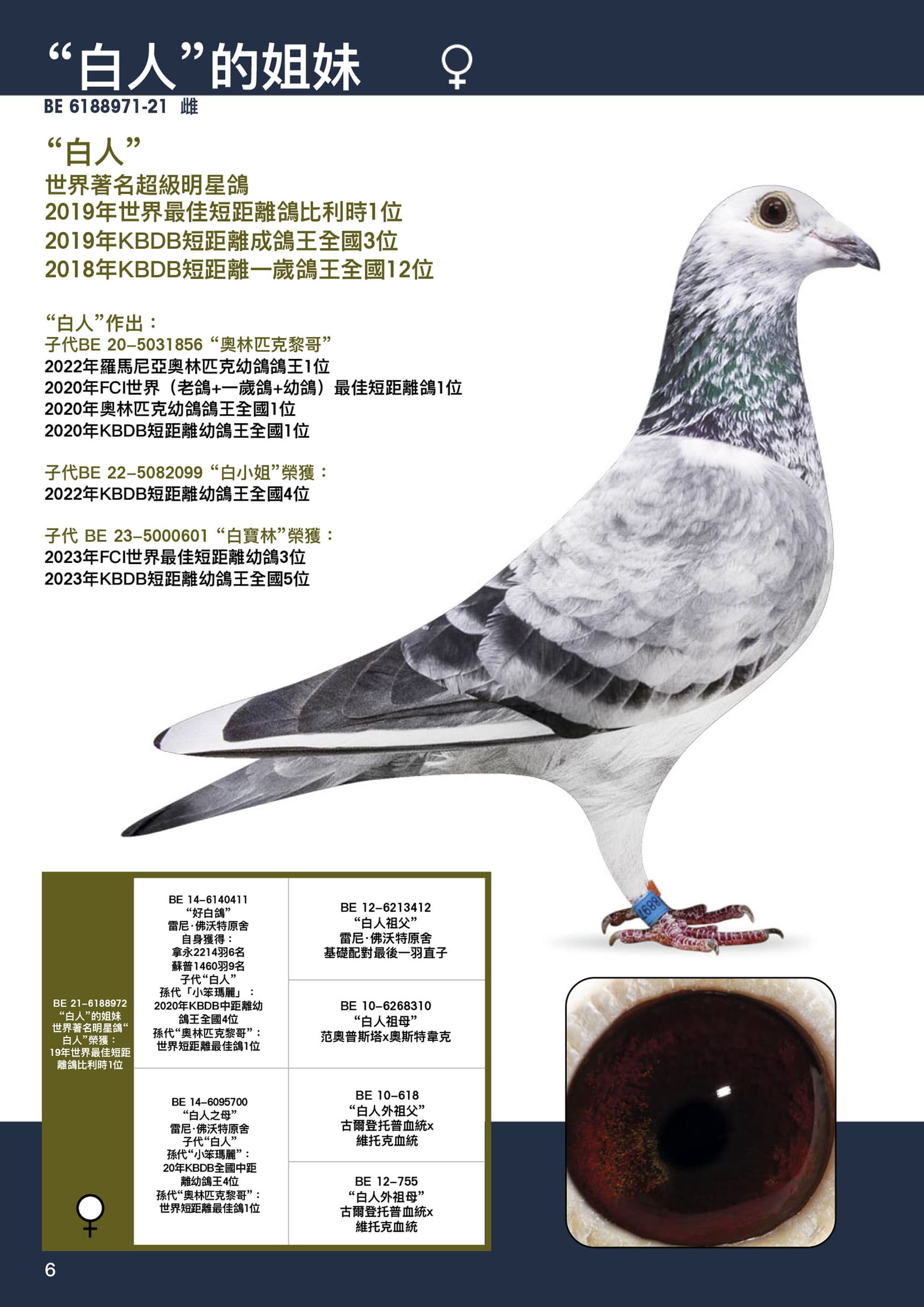 “971-白男人姐妹鸽”