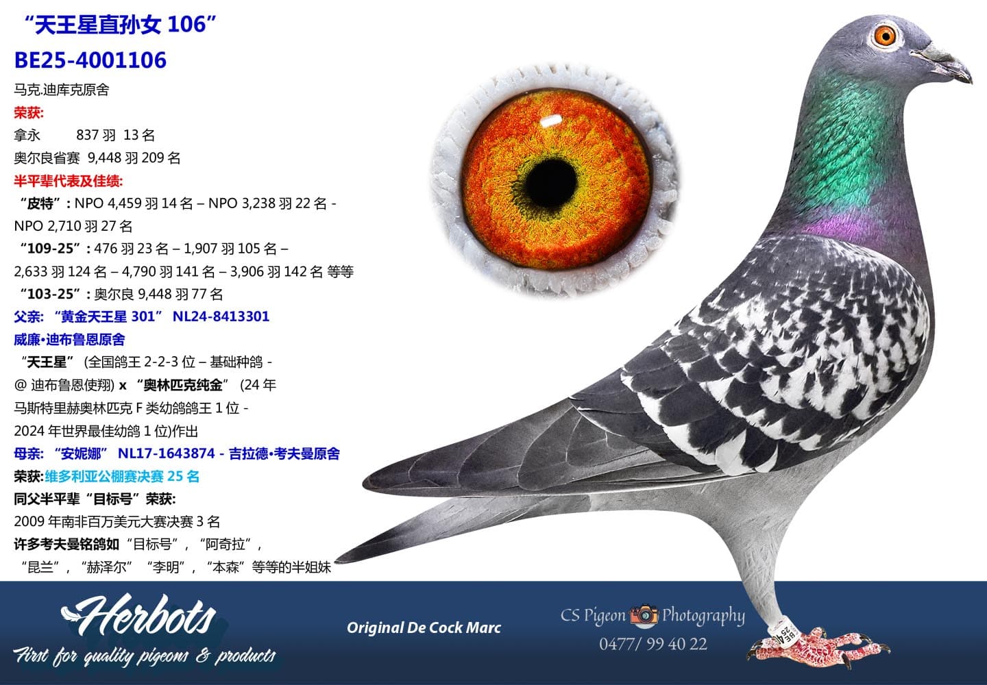 pigeon: undefined