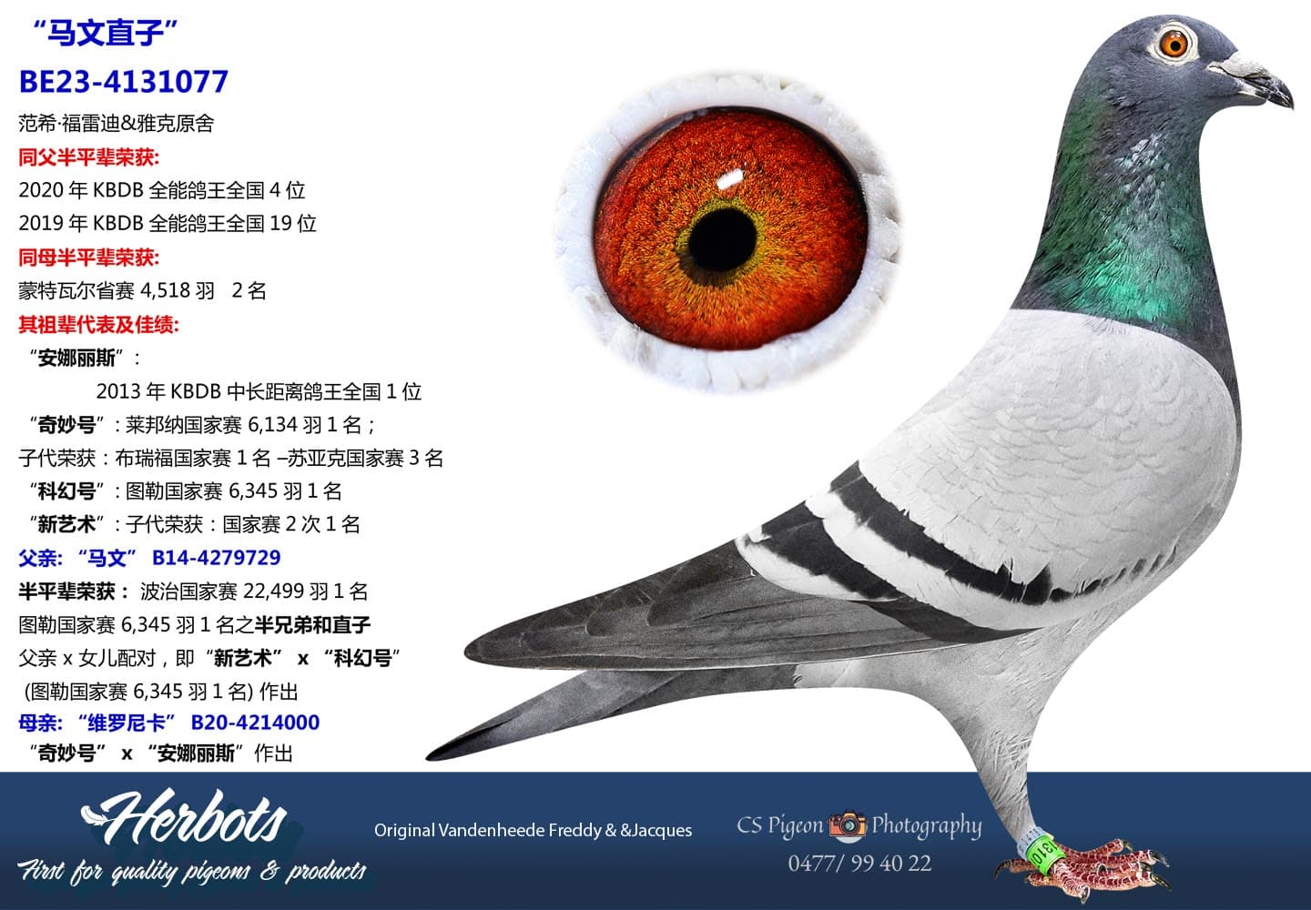 pigeon: undefined
