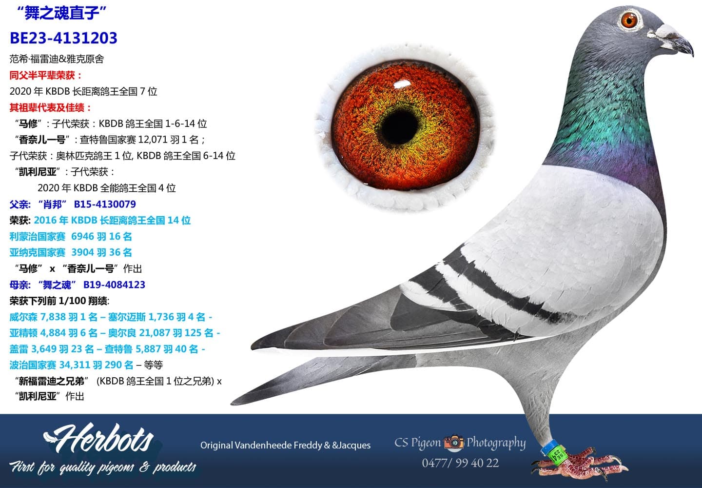 pigeon: undefined