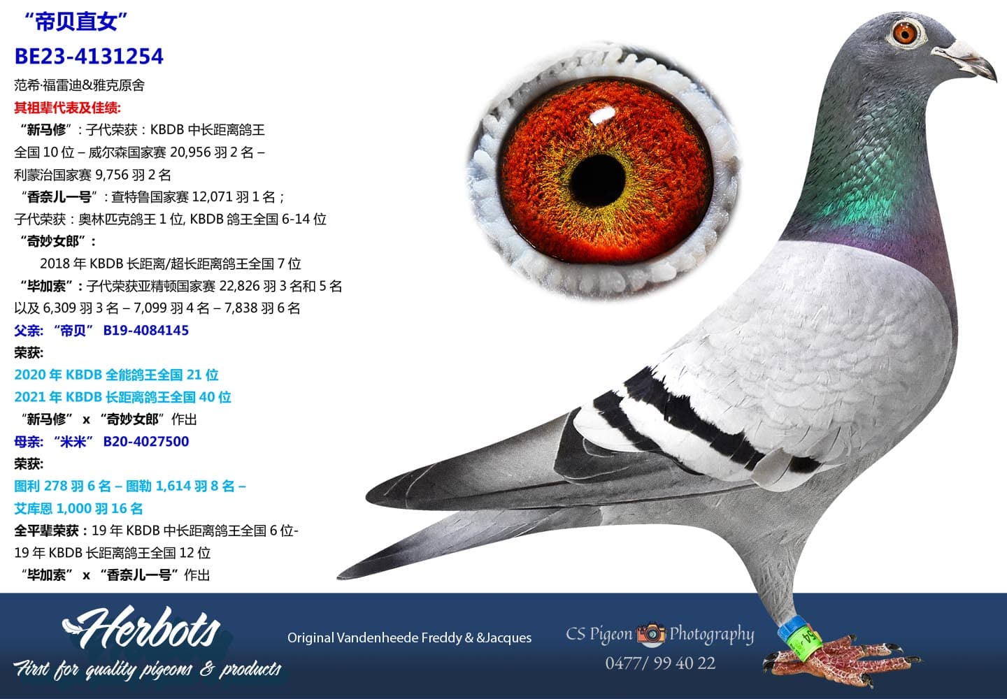 pigeon: undefined