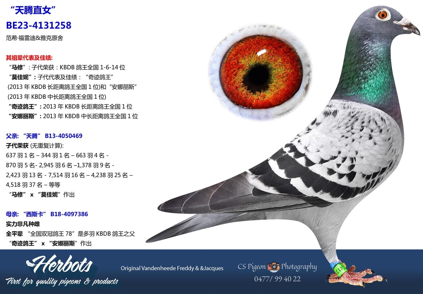 pigeon: undefined