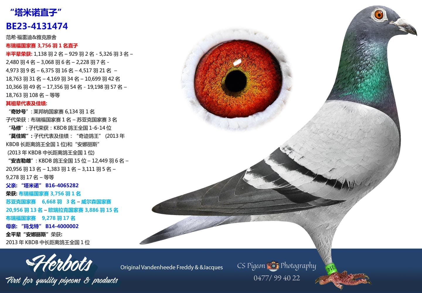pigeon: undefined