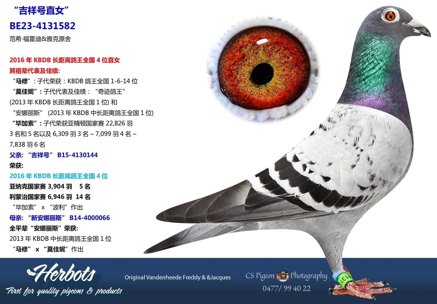 pigeon: undefined
