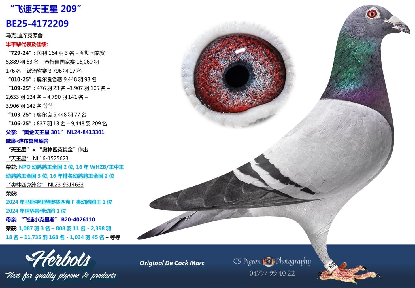 pigeon: undefined